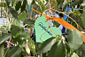 Под Саратовом прошел масштабный фестиваль для соцработников и волонтеров